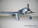 Focke Wulf Fw-190A-5 (17).JPG

54,88 KB 
1024 x 768 
28.06.2014
